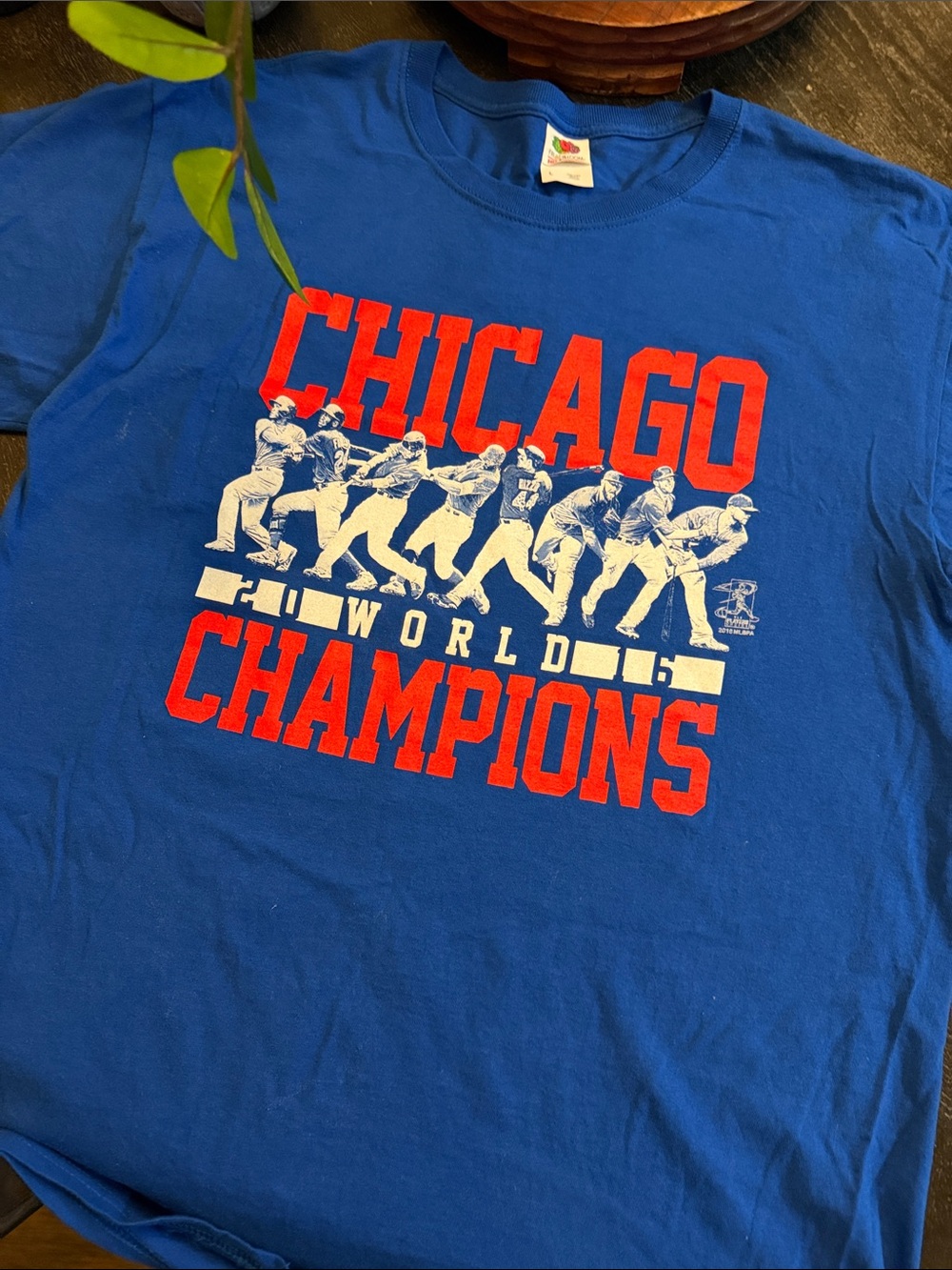 Fruit of the Loom Blue Chicago Champions Graphic Tee